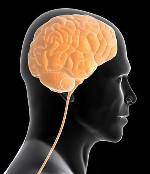 ���������ӡ����ɴ��Բ��ֵģ����Ǿ�����ȷ�����ƿ���Ťת����