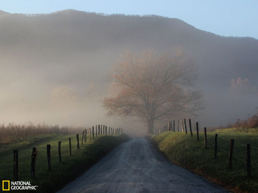 ��������ɽ���ҹ�԰