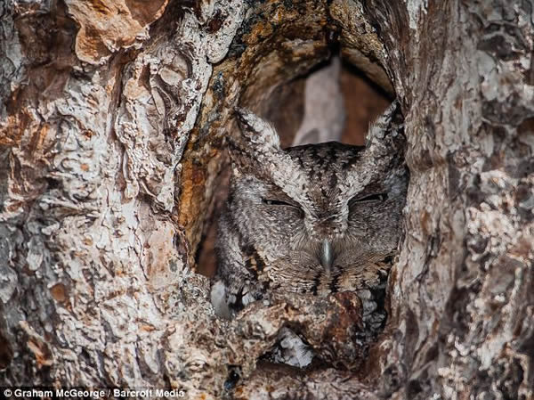 αװ���������^�ľ��ʱ���