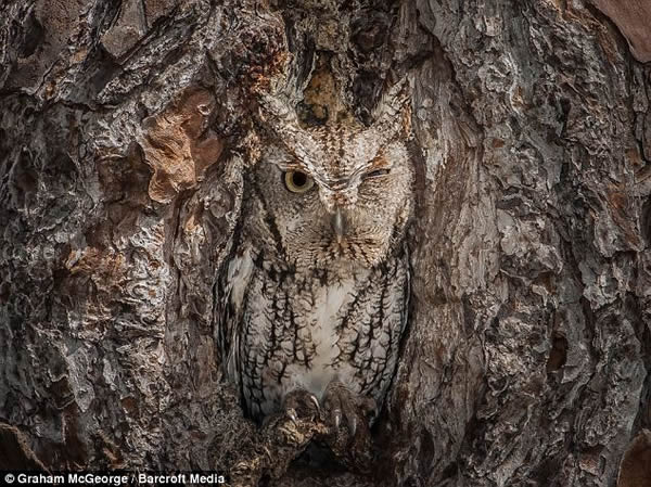 αװ���������^�ľ��ʱ���