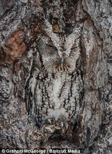 αװ���������^�ľ��ʱ���