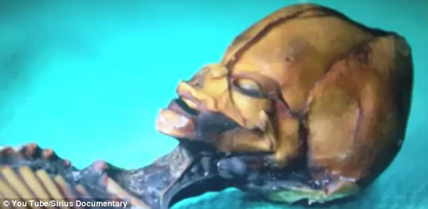 ����ɳĮ����15���׳�������ʬ�壿