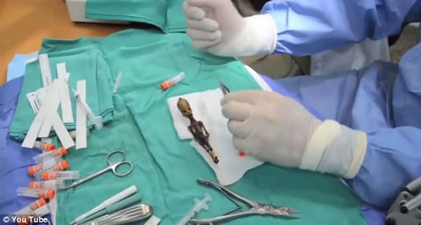 ����ɳĮ����15���׳�������ʬ�壿