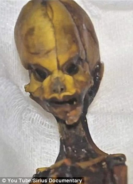 ����ɳĮ����15���׳�������ʬ�壿