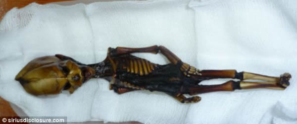 ����ɳĮ����15���׳�������ʬ�壿