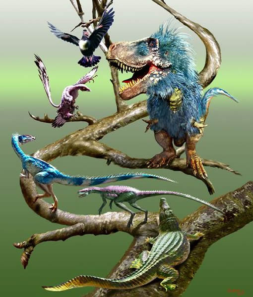 The ancestors of modern birds developed a crouched stance to compensate for larg