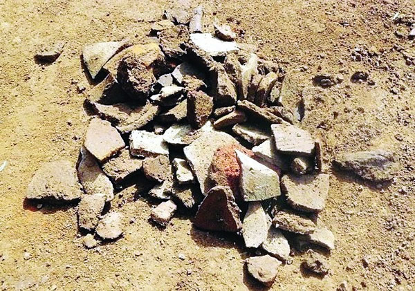 赵县贾吕村发现五千多年前的新石器时代村落遗址