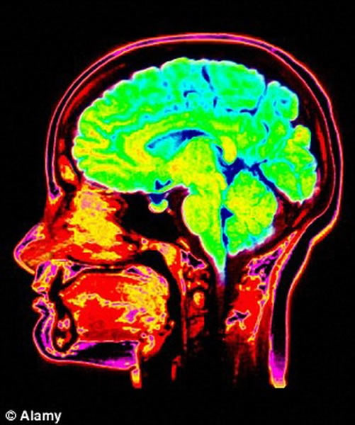 实验显示，当测试者观看人们受到伤害的视频时，精神错乱者的大脑关键部位活跃性降低