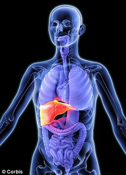 ΢�͸������پ���������ʵ���ٵĹ��ܣ����а�����������Ҫ�����ʺ͵��̴�