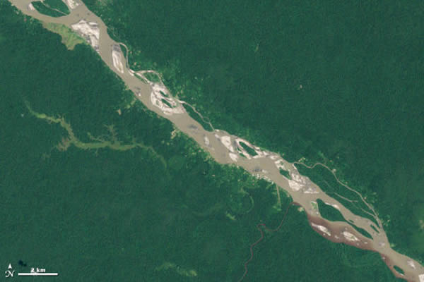雷达和卫星照片展示南美洲亚马逊流域的热带森林和湿地景象