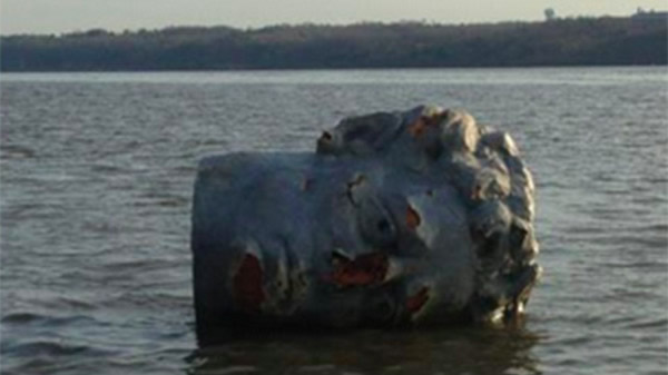 ������ͷ­��Ư��������ŦԼ����ɭ��