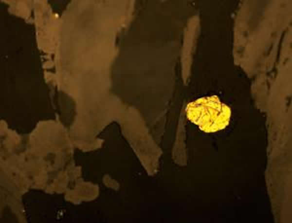 地幔岩石25亿年后重返地面