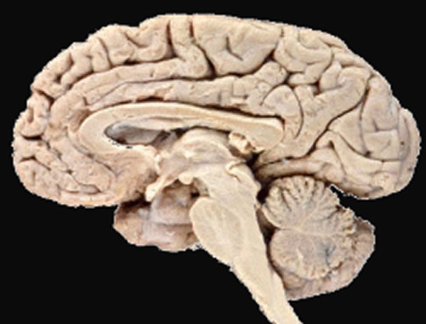 �о��ƴ��Կɸ�������Ŀ��ı书��