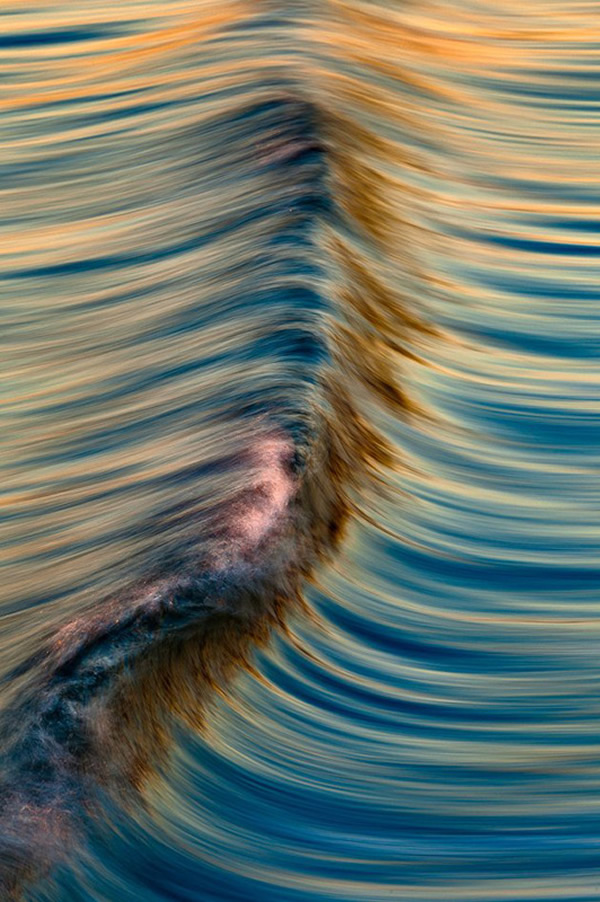 美国摄影师拍摄的金色海浪