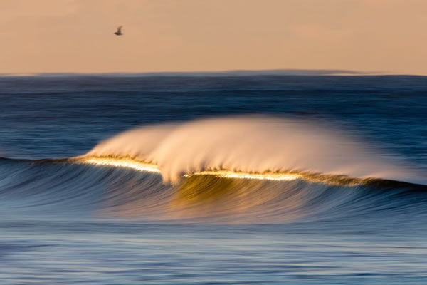 美国摄影师拍摄的金色海浪