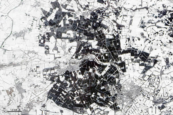 塞特福德森林是在第一次世界大战后出现的。当时,英国当局对这里原有的沙地森林进行了改造,以保证木材供应。