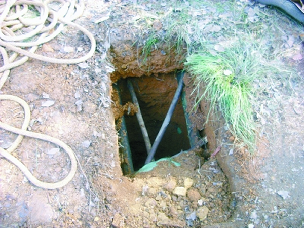 ��Ĺ�Ż�������ɽ���ź�Ĺ�����ھ�ĵ���