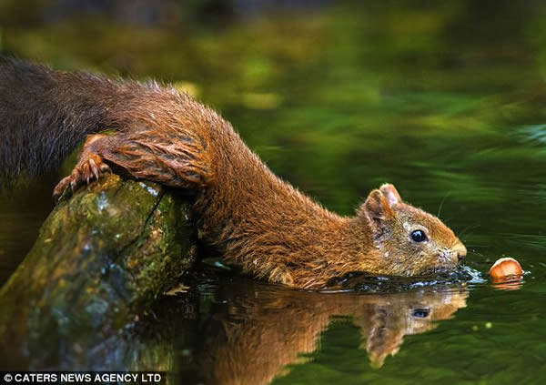 ���������ˮ���