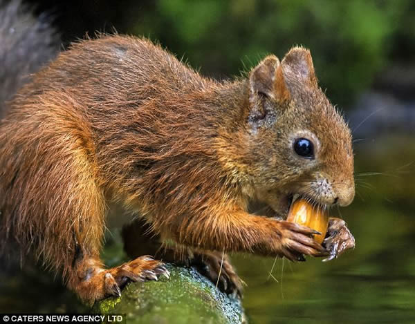 ���������ˮ���