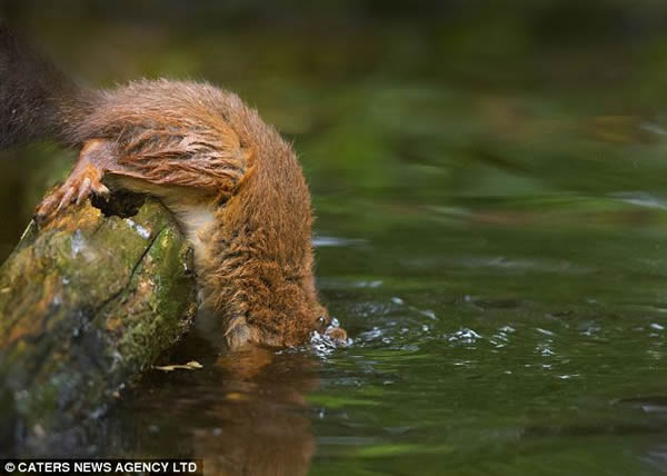 ���������ˮ���