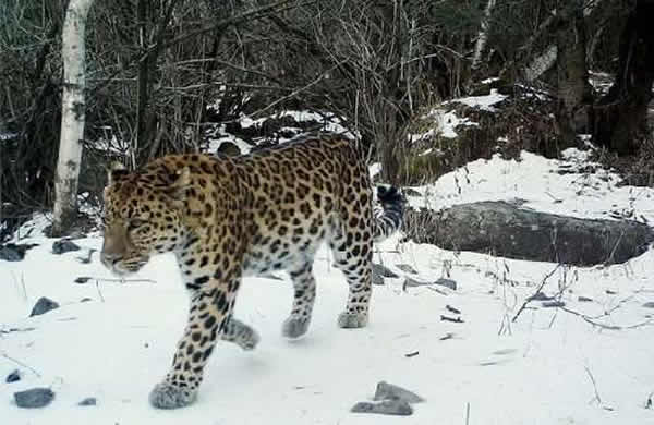 2012��11��2��16ʱ���ң�һֻ��Ǯ�������ǰ������