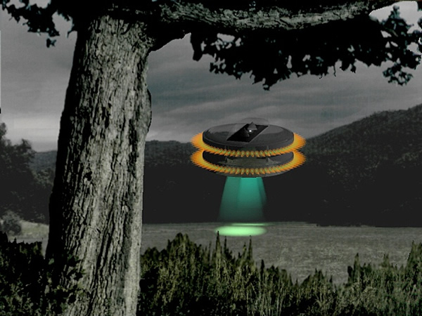 �����������о���֯�ٰ���֤����֤���������������������˽Ӵ�����ʵ