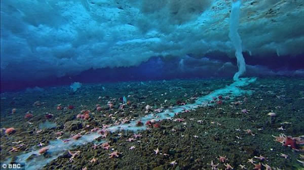 地球上的生命可能是起源于极地水域,通过死亡冰柱形成
