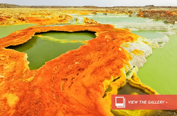 Fossils Give Clue to Smell of Ancient Earth