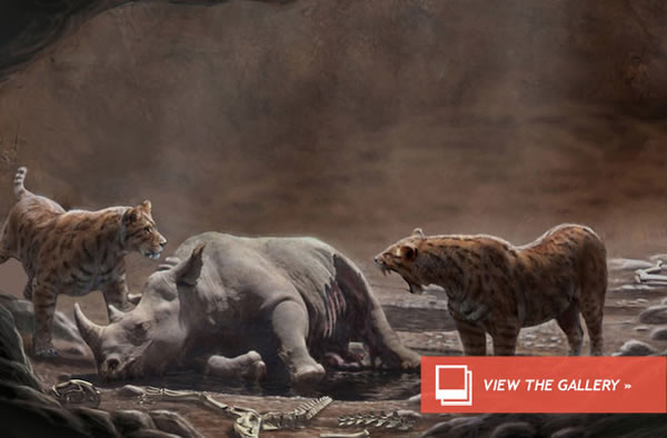 Killer Cave Lured Pre-Historic Meat Eaters