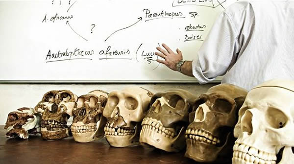 科学家们表示如果在饮食中没有摄入源自海产食物的DHA,人类便不会长出发达的大脑。