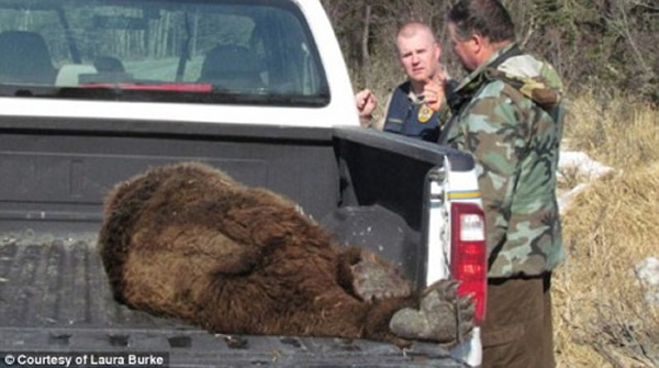 �������ؾ���������һ�������ｫ���ܻ���