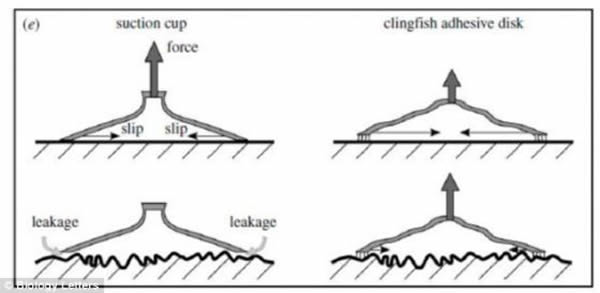�о���Ա���ֱ���С�����ճ������������ǿ