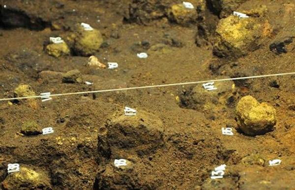 ī�������������������������ٸ����صĽ��ɫ��״����