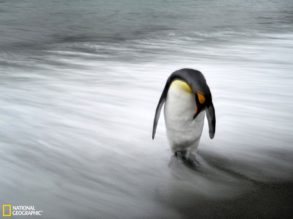 �ϼ��޶��е����