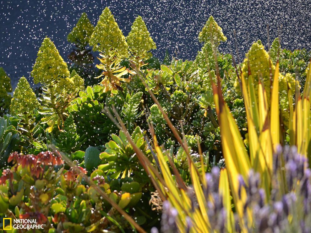 �Ϸǿ��ն�������԰