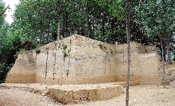 李家沟遗址发掘剖面