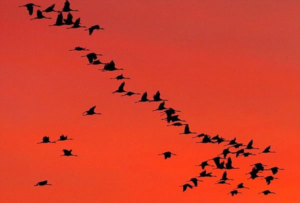 ��ѧ���Ƕ����������һֱ�ܹ�Ǩ�㵽ͬһλ��������ͬһ��Ѩ�е��ǳ�����