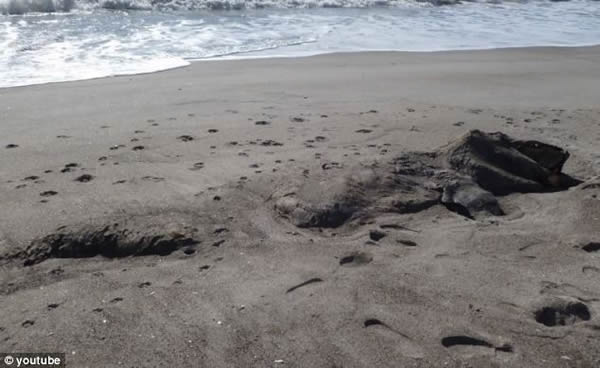 ���������׵��庣̲������һ�߸��õġ����֡�ʬ��