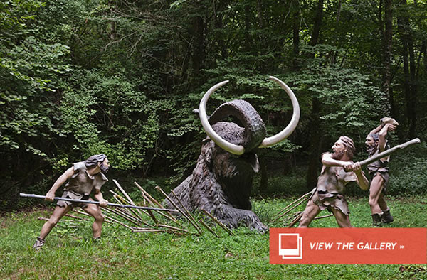 15,000-Year-Old Words?