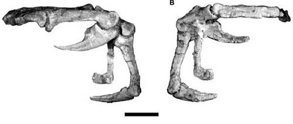 ϰǰƻʯ걾AӣBӣΪ1