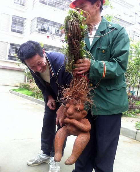 ��������һ��һĸ���������κ����ڡ�