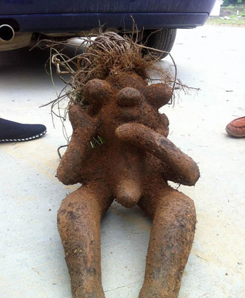 ��������һ��һĸ���������κ����ڡ�