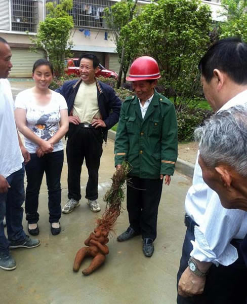 ��������һ��һĸ���������κ����ڡ�