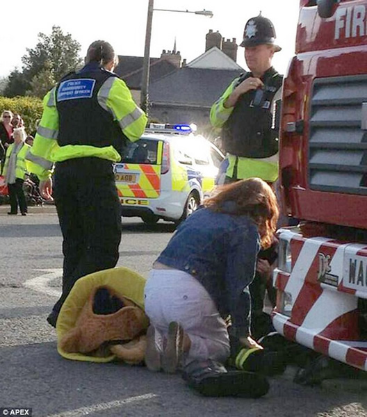 英国消防员狂欢节上着灰熊装被撞伤 - 神秘的地