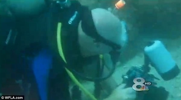 ���������ں�����ף�������ʱ��20ͷ������׷һСʱ