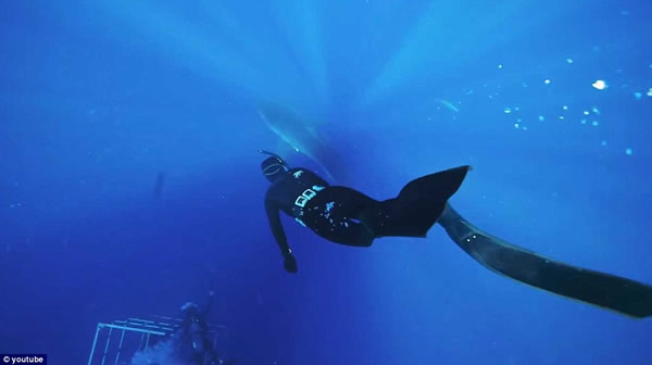 ����������Ⱥ��һ��Ǳˮ�������蹲��