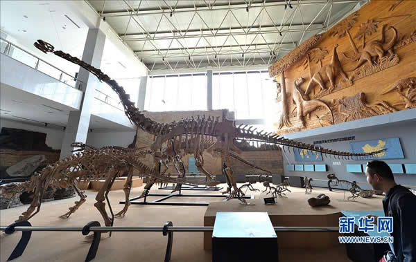 “辽宁巨龙”正式亮相辽宁朝阳鸟化石国家地质公园博物馆