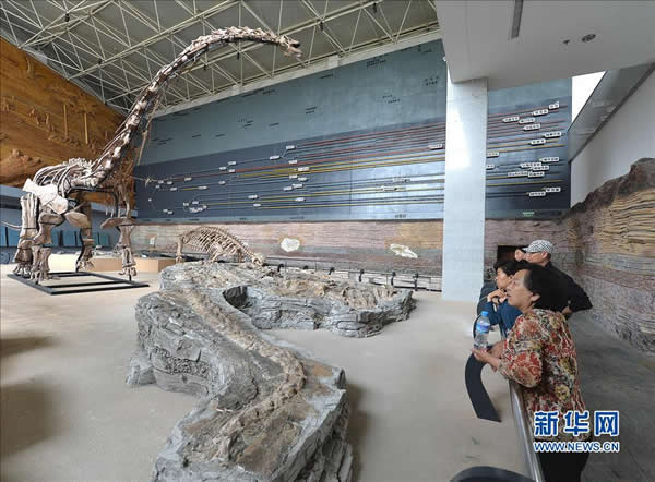 “辽宁巨龙”正式亮相辽宁朝阳鸟化石国家地质公园博物馆