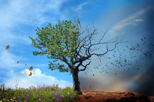 �����о��ƣ�ʷ��ǰ���������ٶȽ����������ִ�����в�����ҽ�����Ӱ�������������������