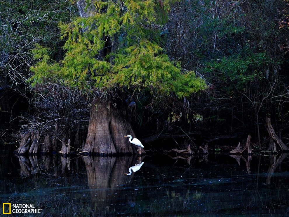 ������������ݵĴ����